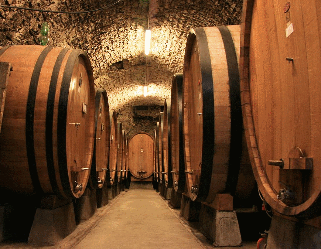Rows of casks